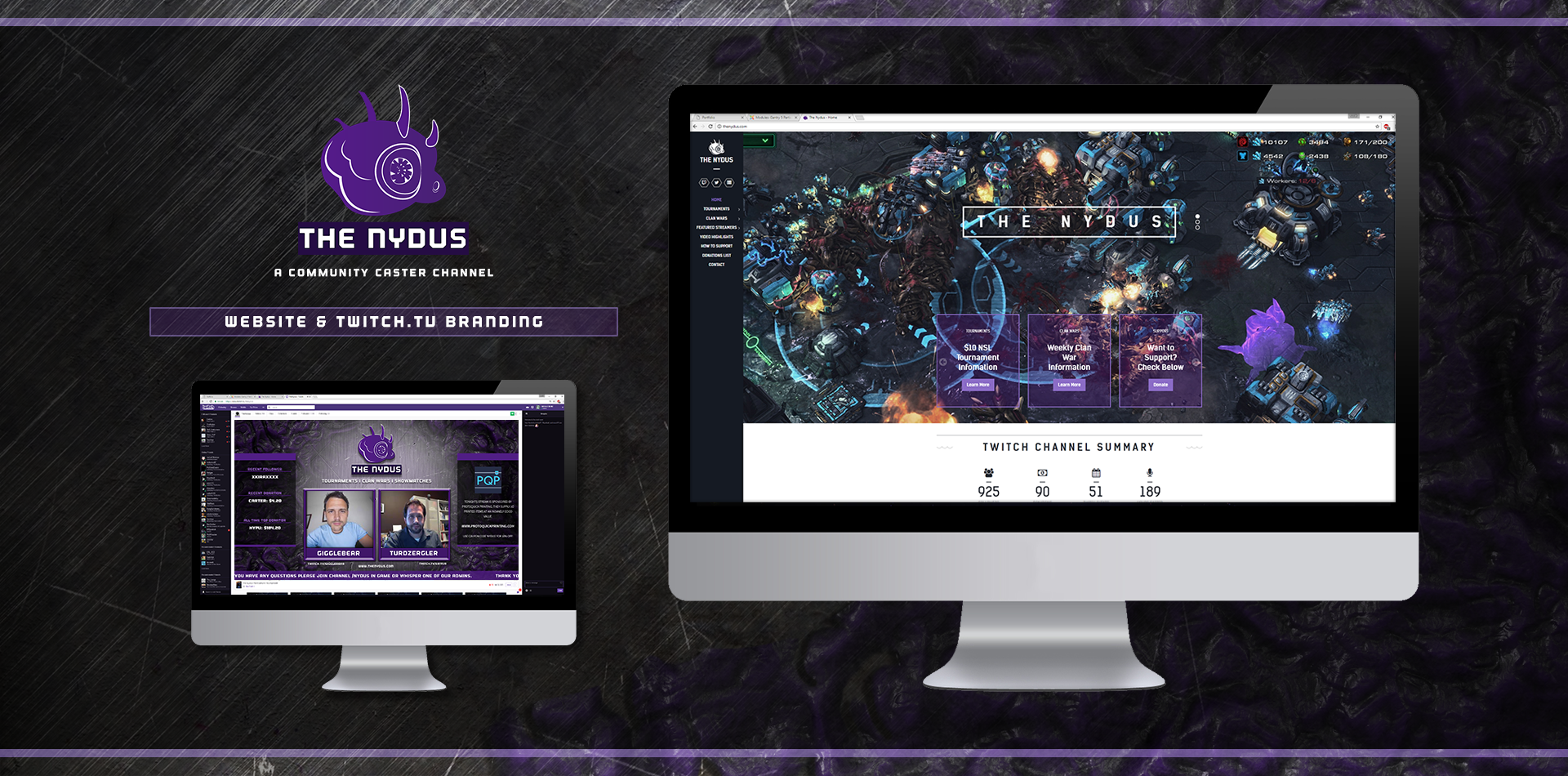 The Nydus Website & Branding